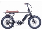 BRONX Buggy 20 e-Bikes / Granite Classic