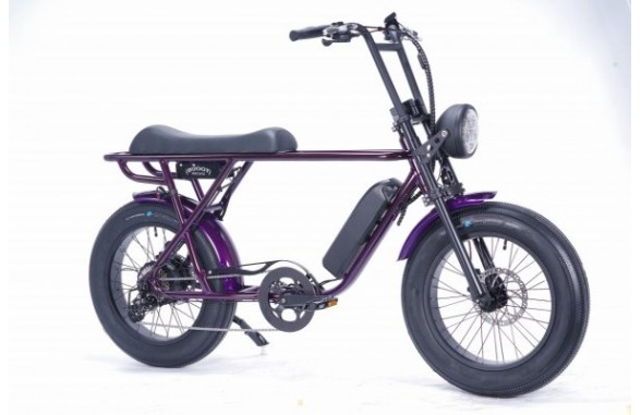 BRONX Buggy 20 e-Bikes / Amethysit