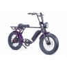 BRONX Buggy 20 e-Bikes / Amethysit